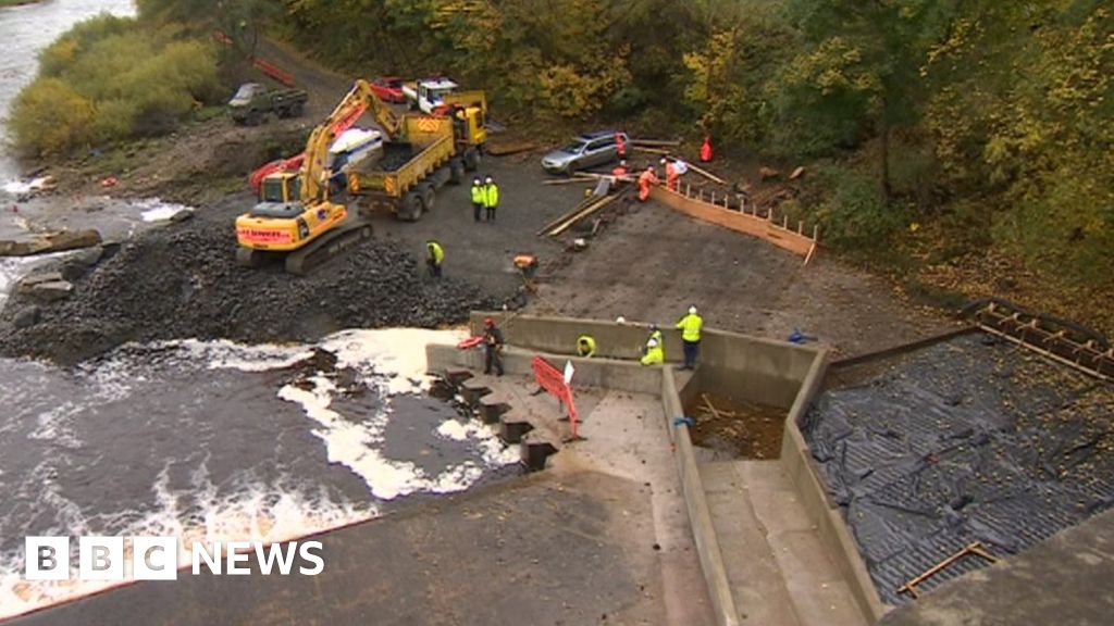 Fish pass for River Tyne salmon at Hexham Bridge BBC News