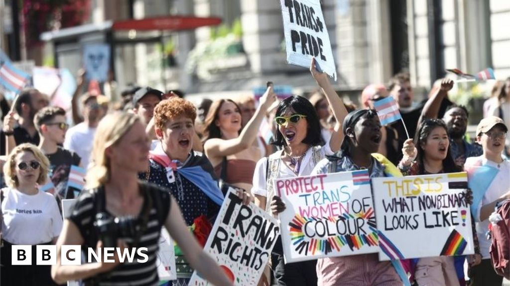 Transgender people treated ‘inhumanely' online