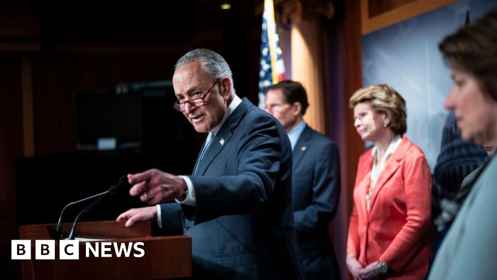 US Democrats’ bid for federal abortion law fails in the Senate – BBC