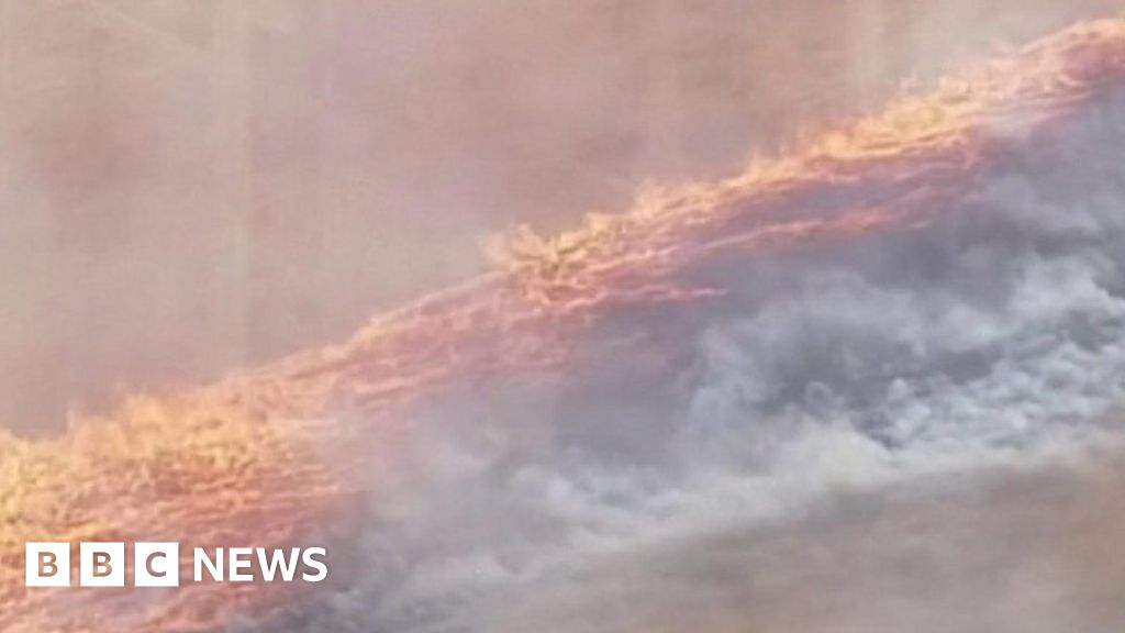 Australia fires: Sea of fire races across field near Adelaide