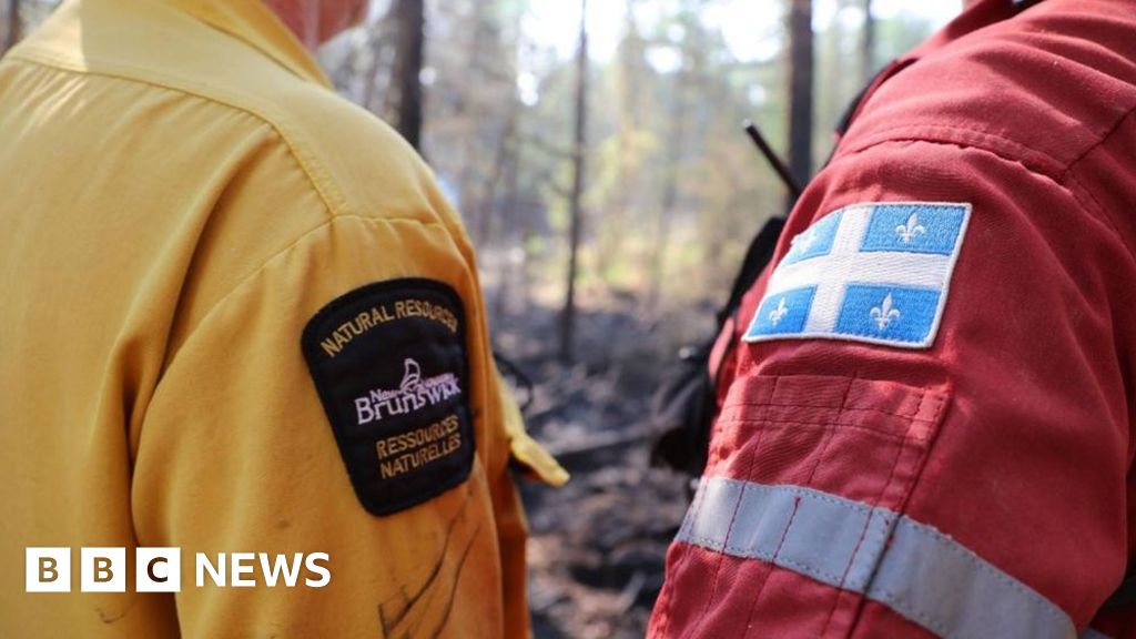 Waldbrände in Kanada: Globale Hilfe kommt, während Quebec „historische“ Brände bekämpft