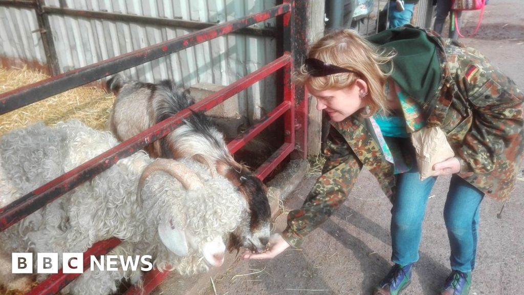Community farm in Cwmbran 'needs longterm vision'