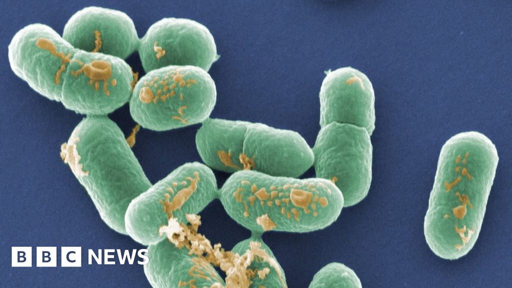 Two more hospital patients die in sandwich listeria outbreak BBC News