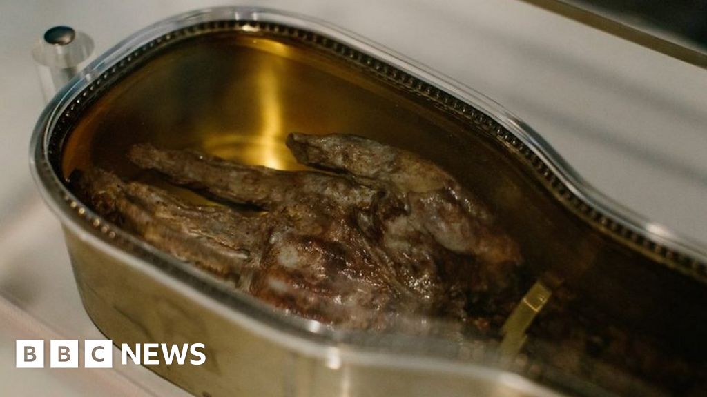 St Francis Xavier relic visits dozens of Canadian cities