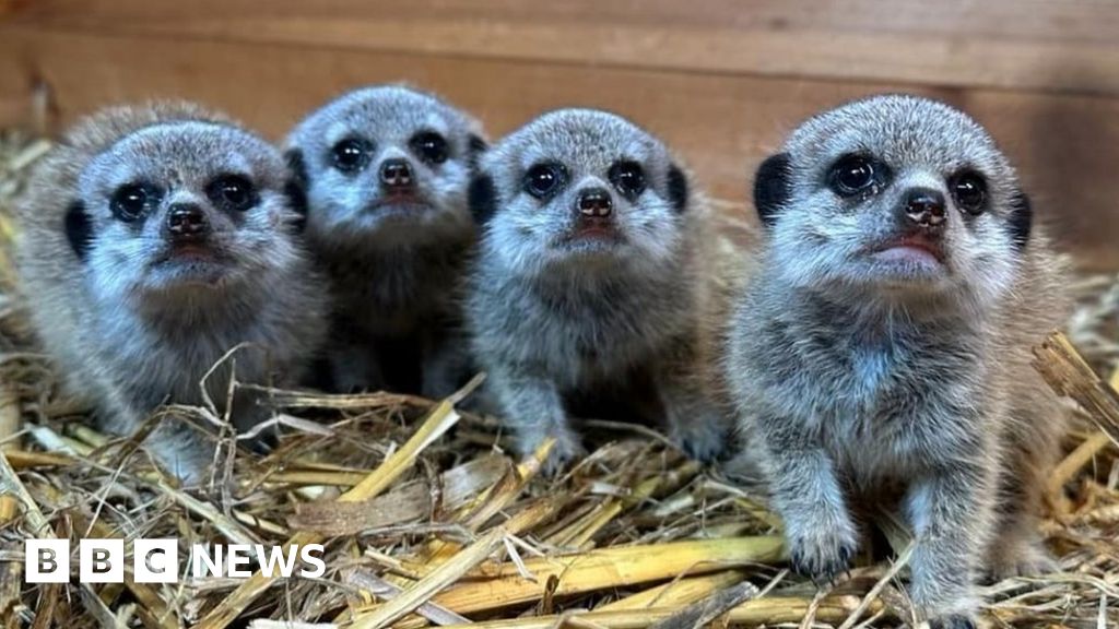 クッカムの動物園と動物保護センターの計画は却下された