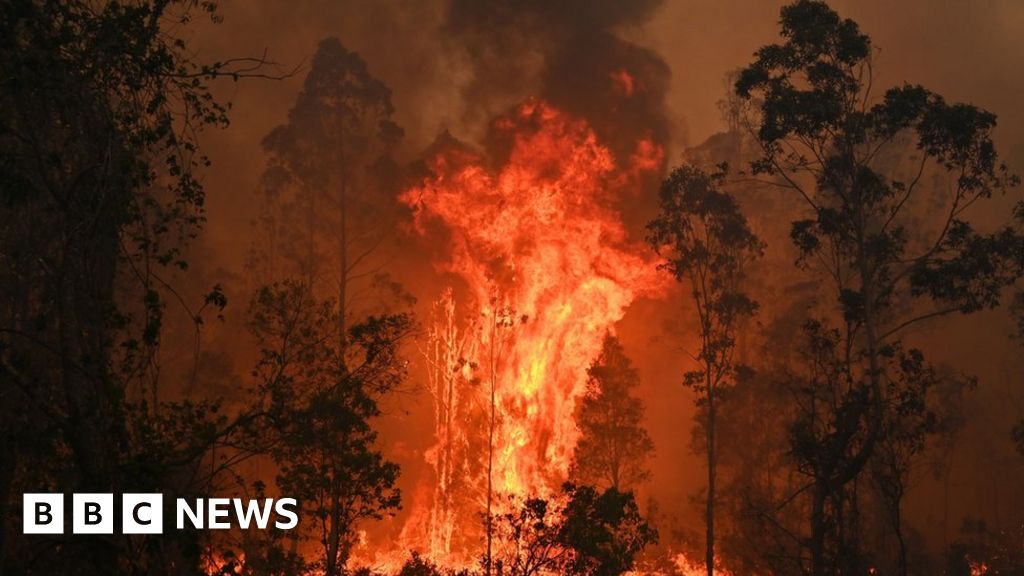 Australia bushfires: Latest images from New South Wales