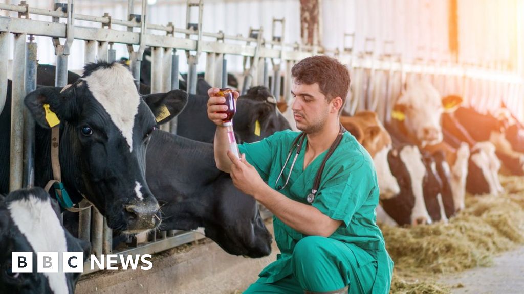 EU moves to ensure animal medicine supplies