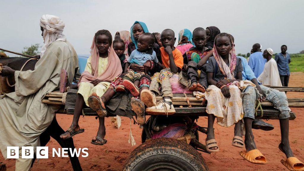 Sudan conflict: Ethnic cleansing committed in Darfur, UK says