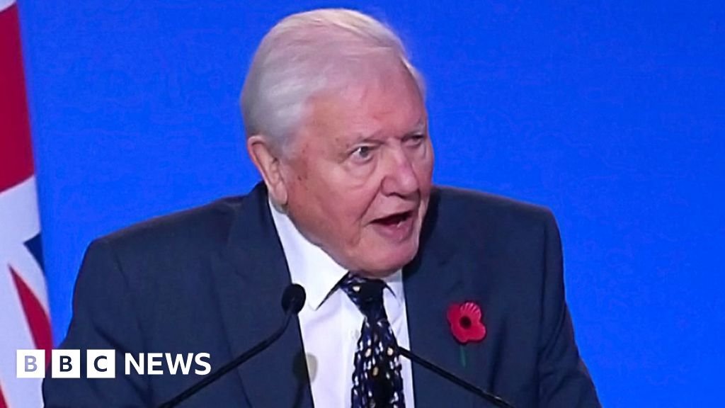 COP26: Sir David Attenborough Tells Leaders, 'The World Is Looking To You'