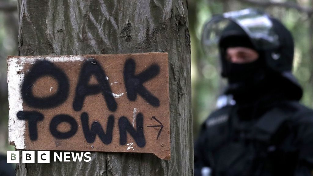 The Treehouse Where Conservatives Hide Their Fury