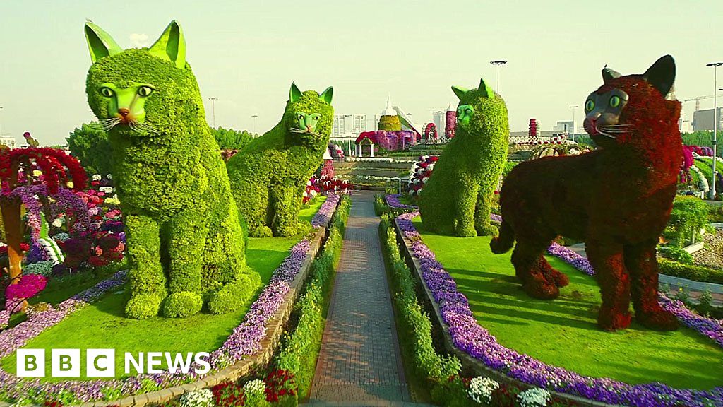 Dubai S Miracle Garden The Chelsea Flower Show On Steroids Bbc