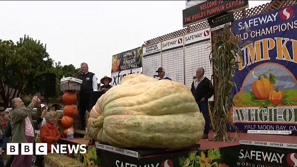 Oh my gourd! Mammoth pumpkin squashes US record