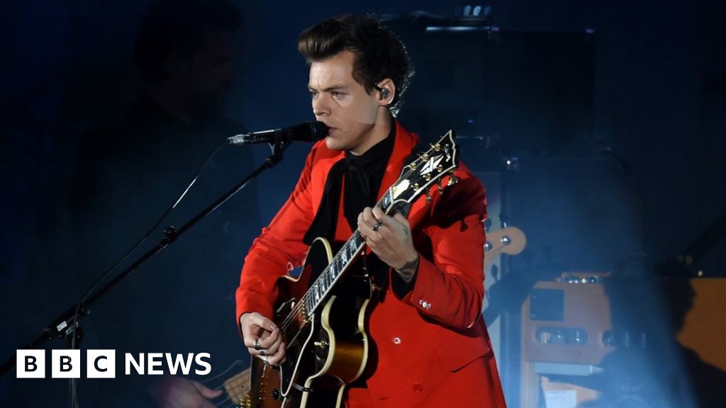 Fan is accused of groping Harry Styles at a charity gig in Los Angeles