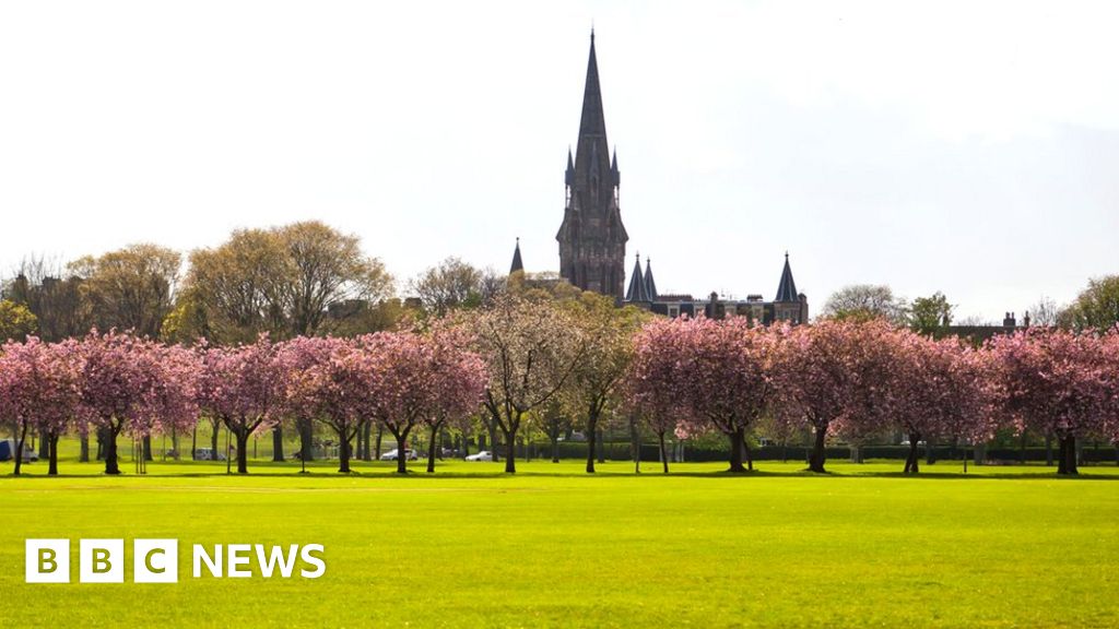 Plan to remember loved ones with Edinburgh trees BBC News