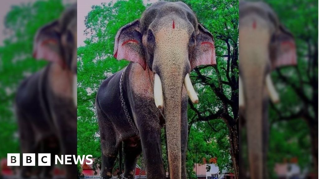 Thechikottukavu Ramachandran: The ‘killer’ Indian elephant who’s cherished and feared