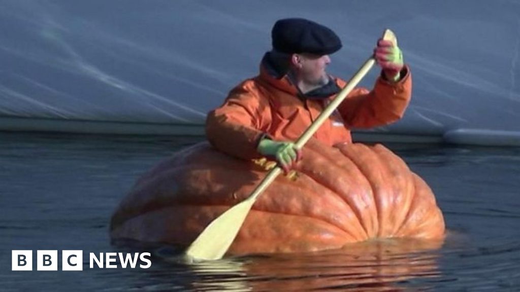 Giant pumpkin boat sets sail BBC News