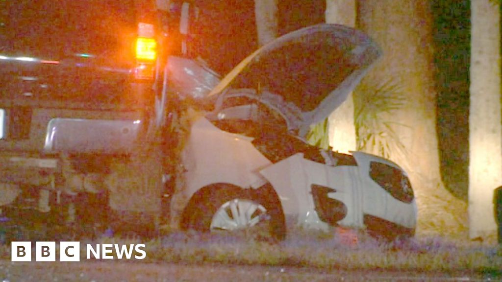 Four Britons killed in Florida car crash