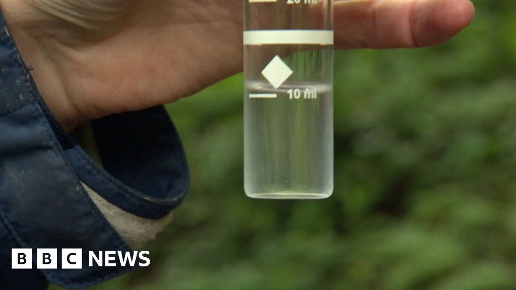 Cornwall sees highest number of water pollution incidents BBC News