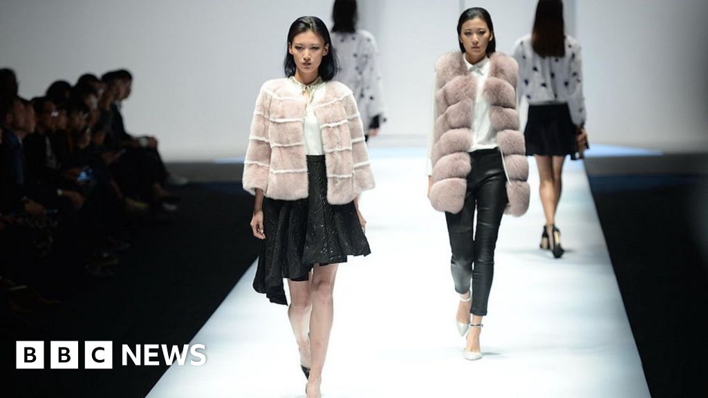 , Fur industry faces uncertain future due to Covid, Saubio Making Wealth