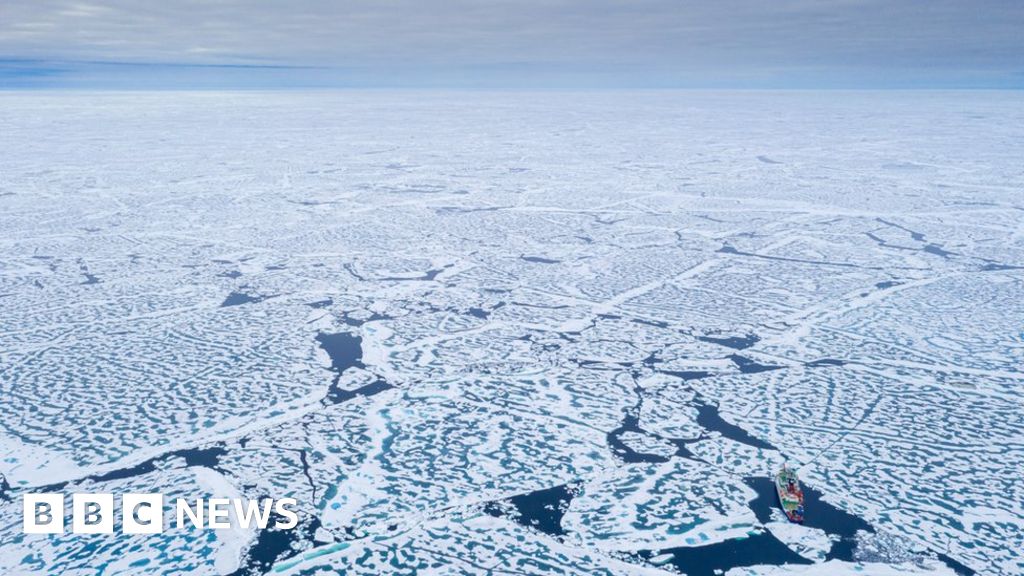 Arctic sea-ice shrinks to near record low extent