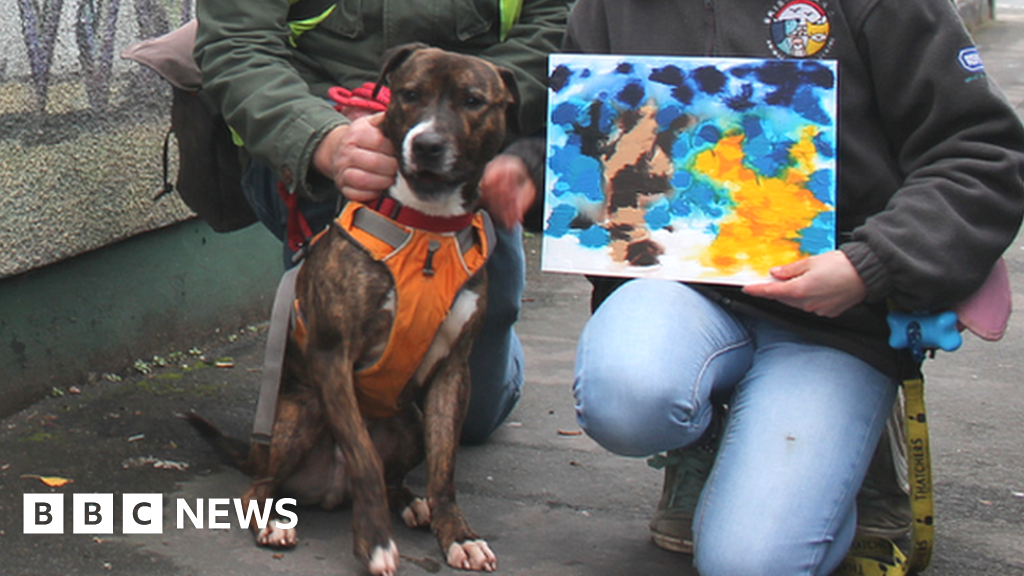 Banksy the dog art raises £500 for Bristol animal charity