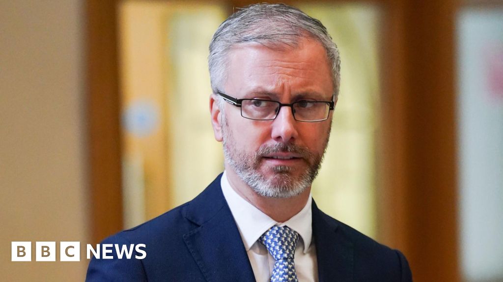 Green Party Leader Retracts Claim About Red Cross Spokesman