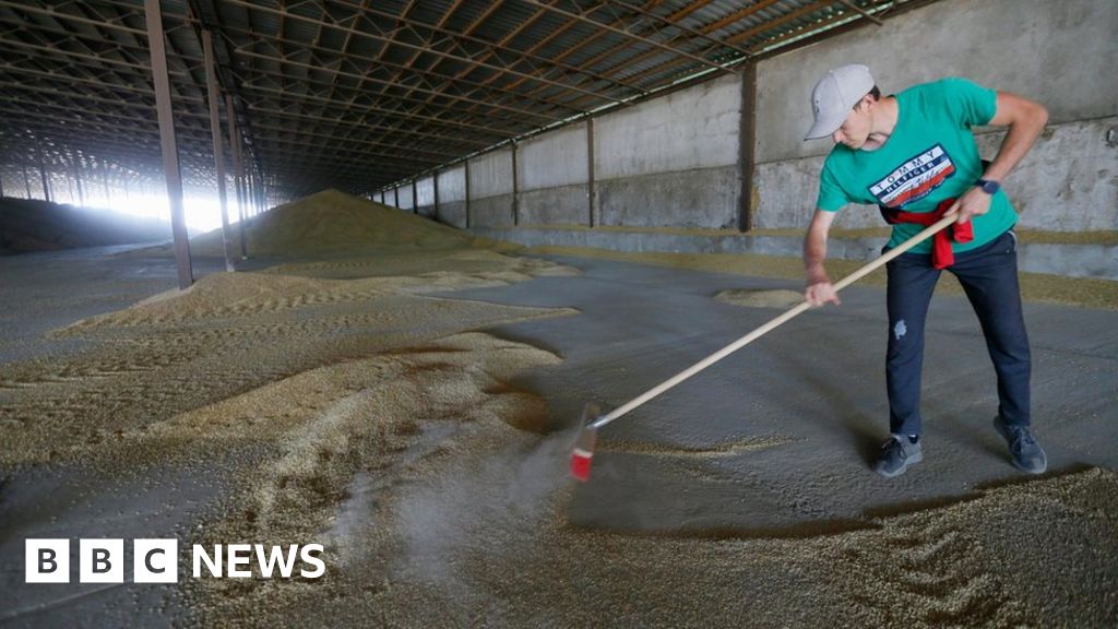 Ukraine grain: Kyiv optimistic on Russia deal to reopen Black Sea