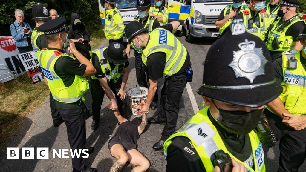 Beagle breeding protestors arrested in Cambridgeshire