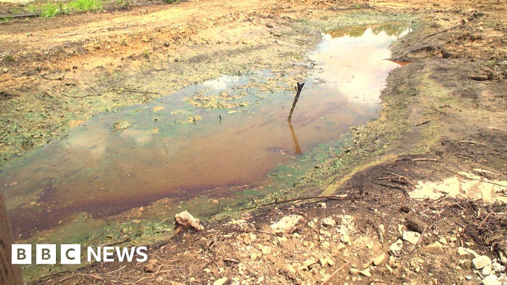Nigeria oil spills 'spark environmental genocide' - BBC News