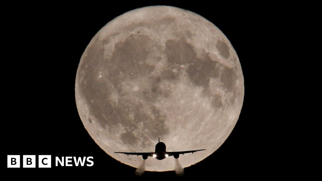 Harvest Moon shines brightly over UK BBC News