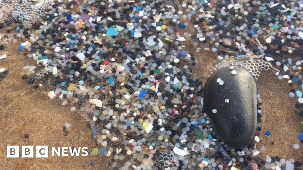 Storm washes up 'mermaids' tears' on Pembrokeshire beach