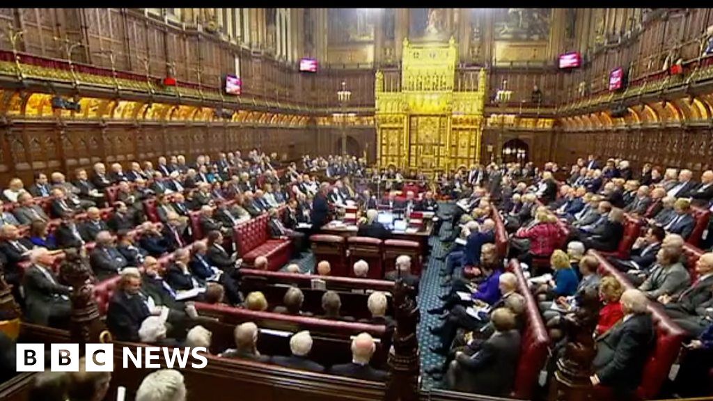 Whats The House Of Lords Your Questions Answered Bbc News