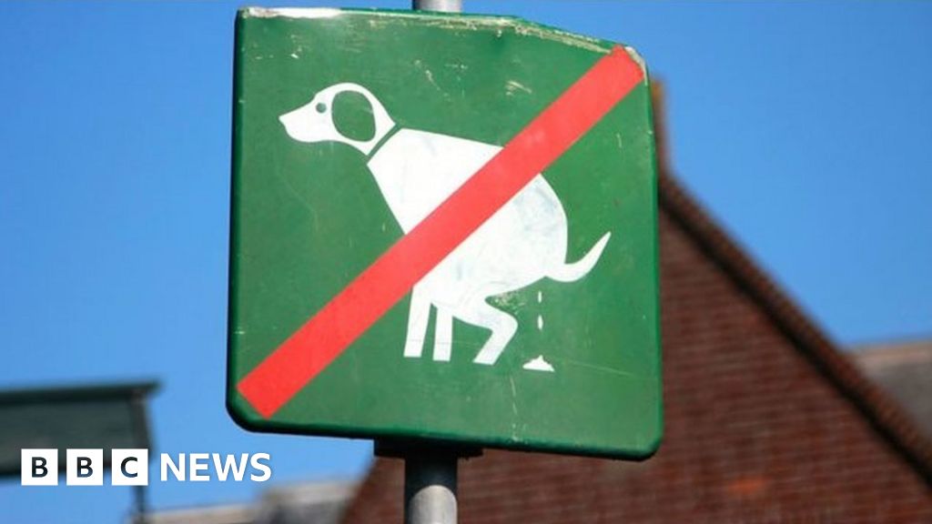 Rhondda Cynon Taff dog owners' fines total £10k for dog poo