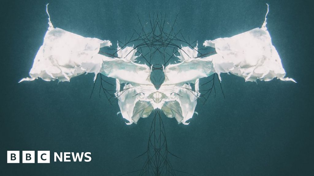 The breathtaking alien world of plastic bags under the sea BBC News