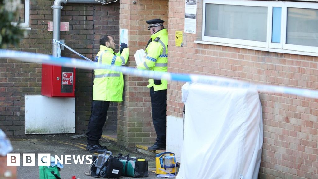 Hove flats fall: murder, arrest, as a woman plunges to death