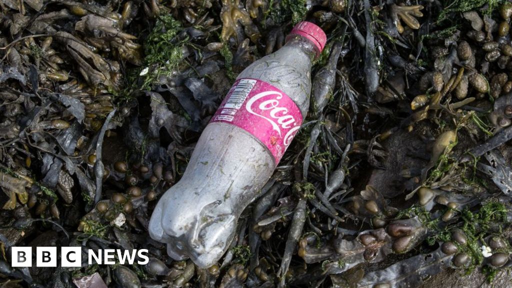 Plastic waste elimination pledge by 2025 attracts more big firms