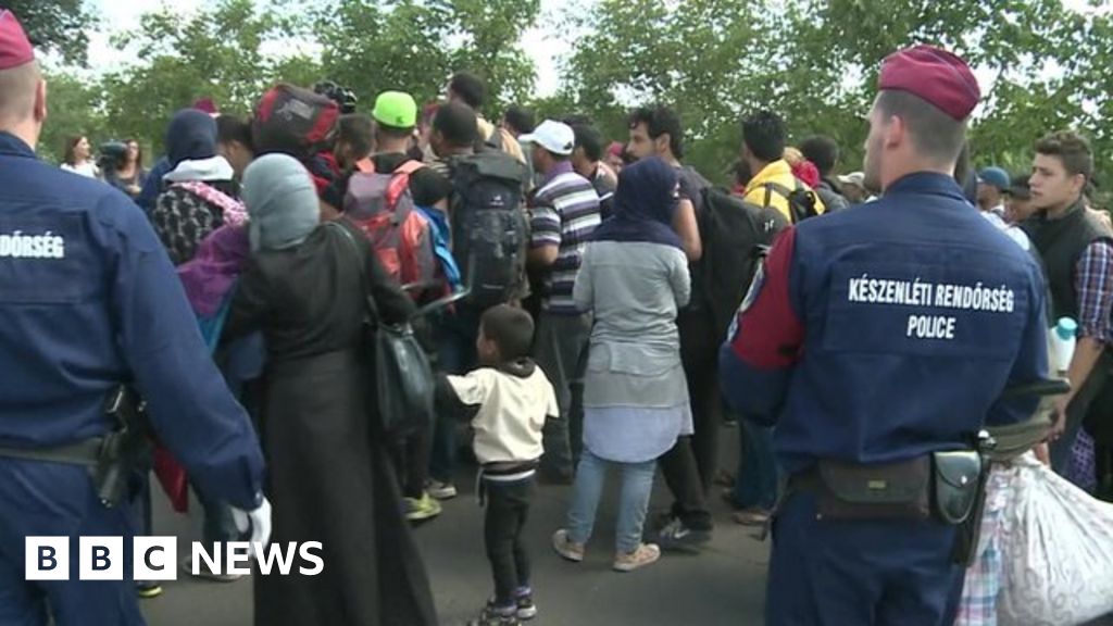 Migrant Crisis Hungary To Send Soldiers To Serbia Border Bbc News