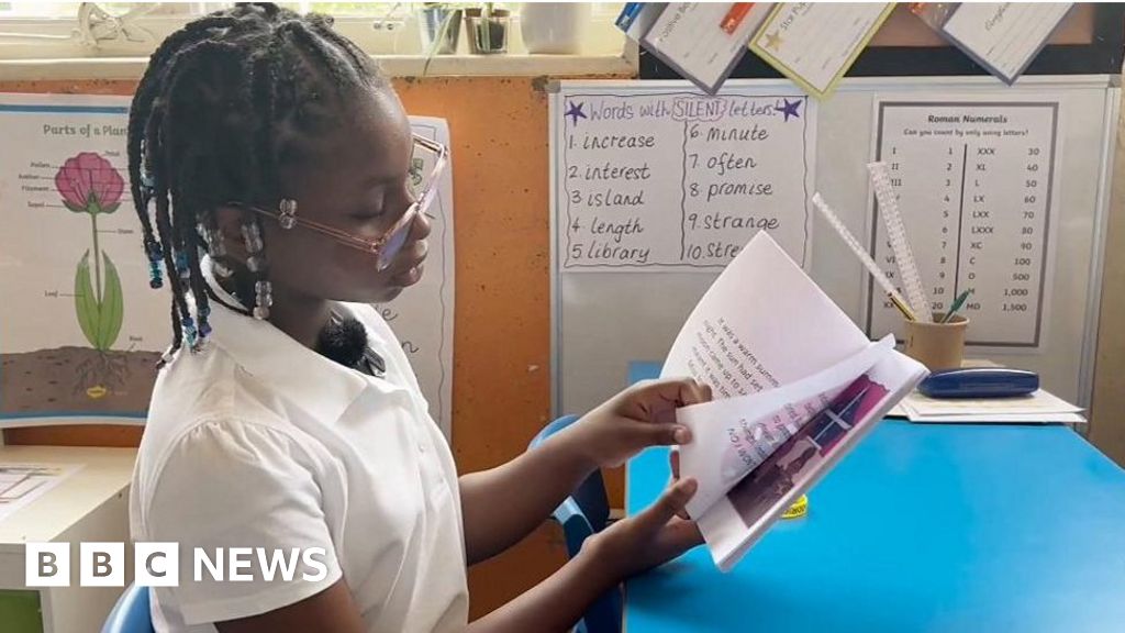 Published schoolgirl, 9, inspiring her classmates to write