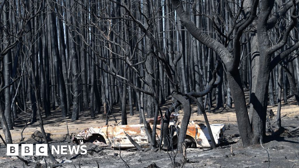 Australia fires were far worse than any prediction