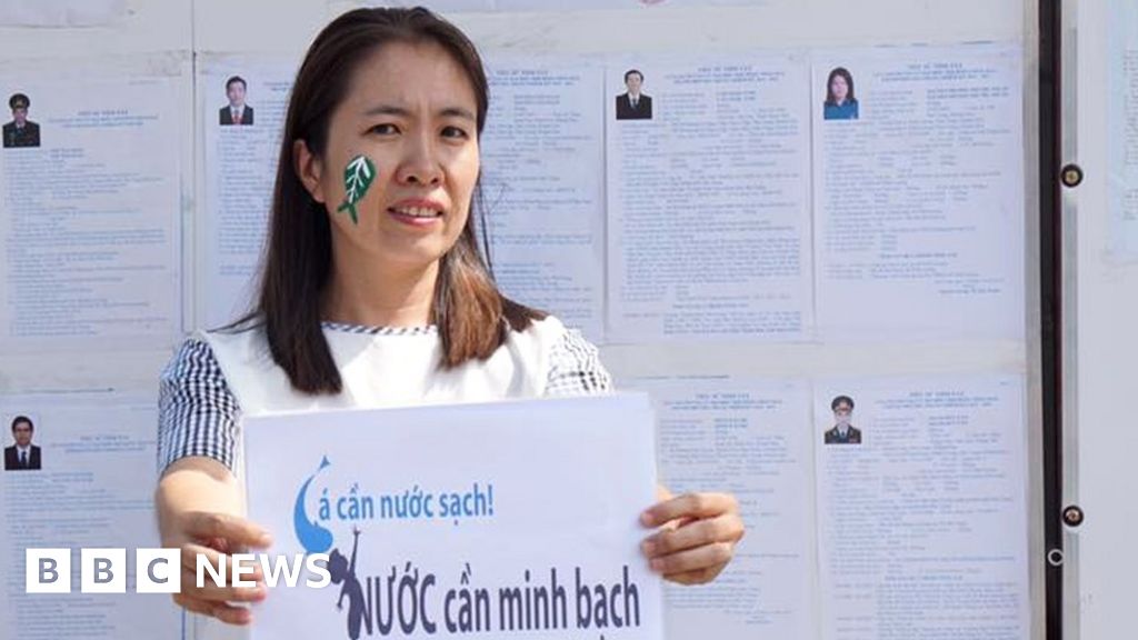 Vietnam blogger 'Mother Mushroom' jailed