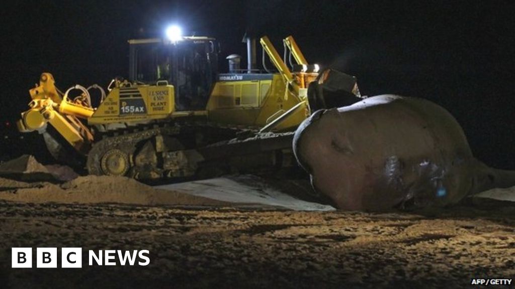Time Lapse Of Beached Whales Being Removed From Skegness Bbc News