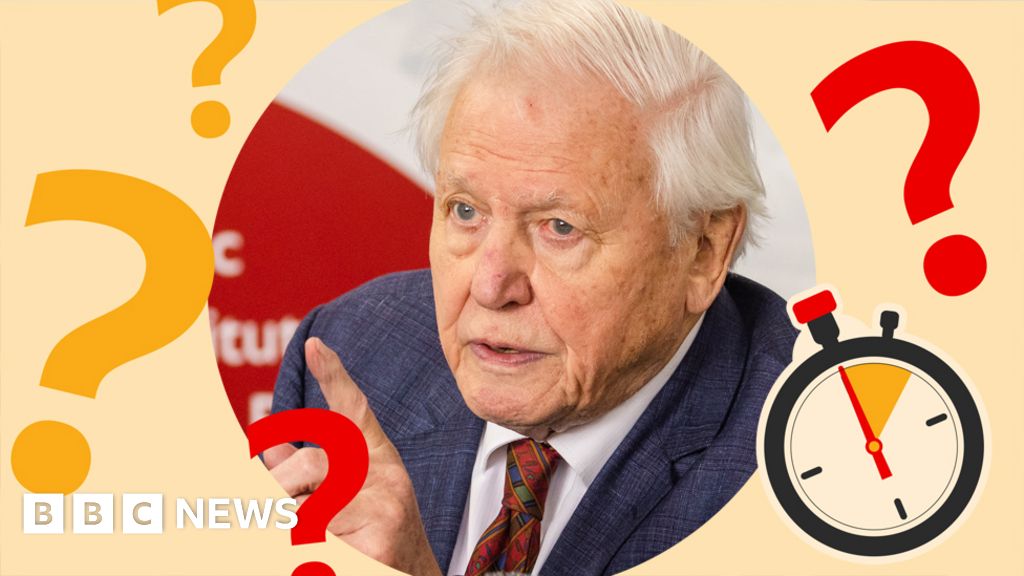 attenborough-was-named-champion-of-quiz-time-bbc-news