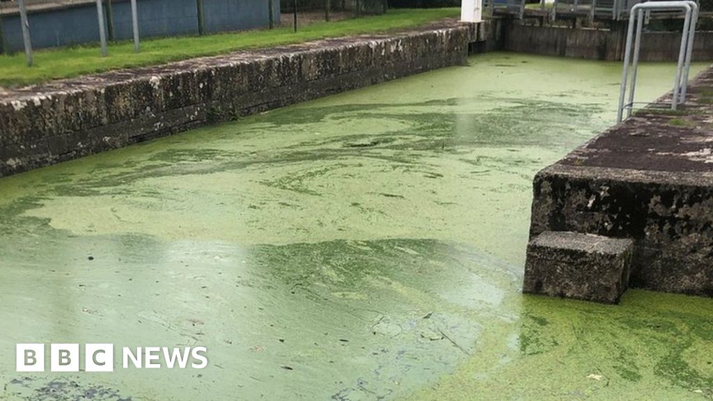 Coleraine watersports centre closes due to blue-green algae - BBC News