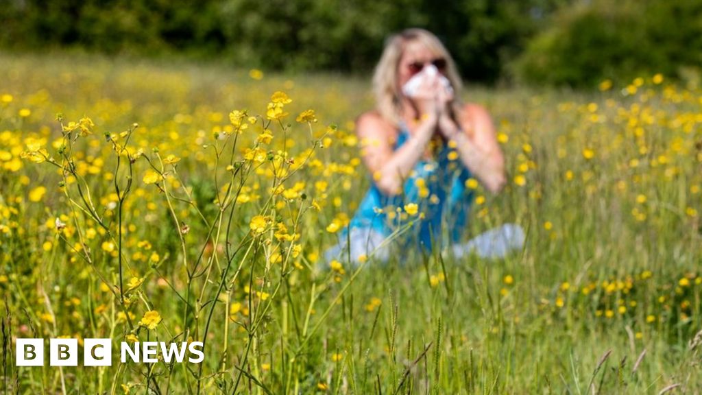 Hay fever Grass pollen DNA study could help sufferers BBC News