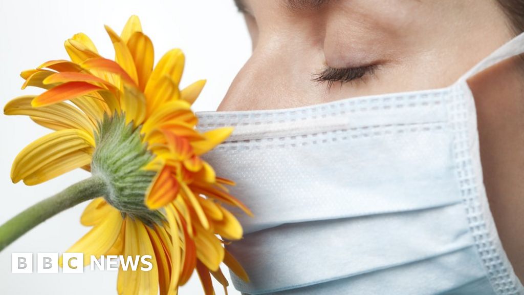 Coronavirus: Are loss of smell and taste key symptoms? - BBC News