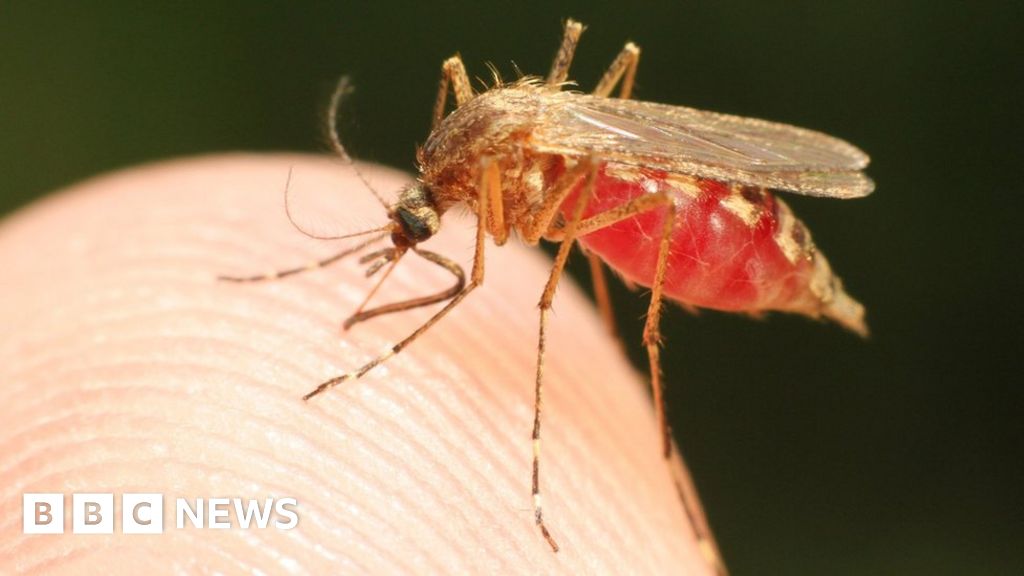 Американски здравен сигнал за случаи на малария във Флорида и Тексас