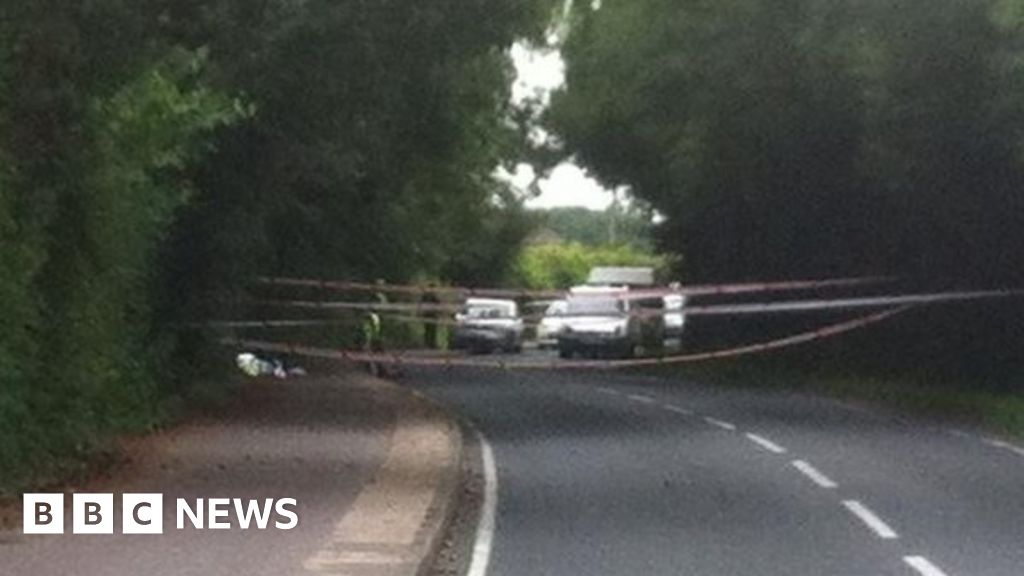 Man arrested after two children stabbed in Havant - BBC News