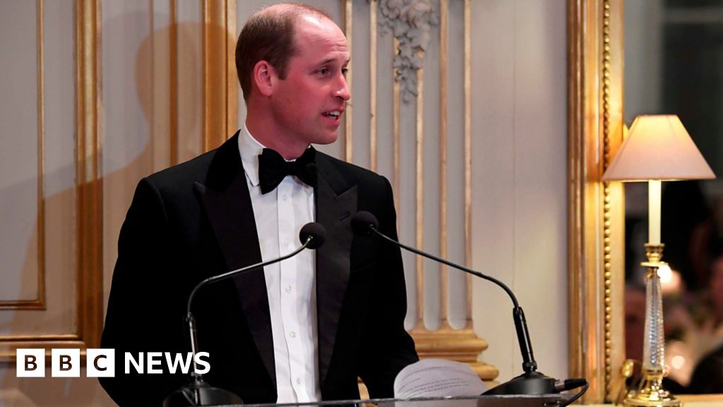 BBC NEWS PRINCE WILLIAM STATEMENT intelligence overview