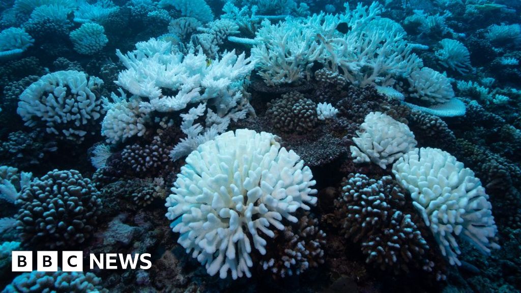 Емблематичният Голям бариерен риф в Австралия страда от ново масово