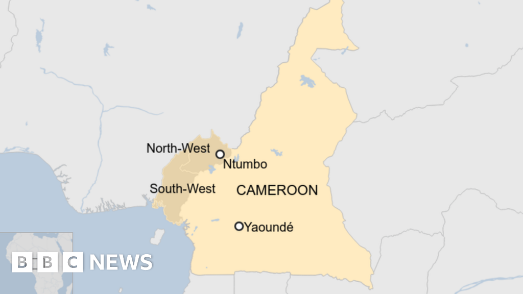 At least 22 killed in attack on Cameroon village